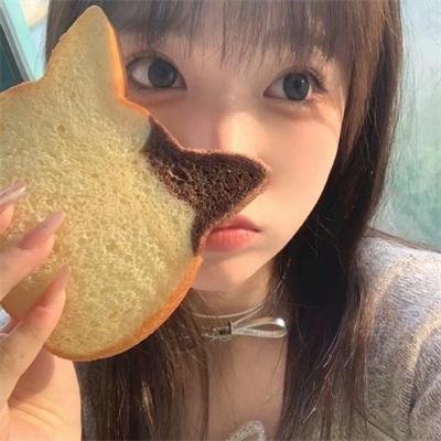 权力的堡垒 第一季